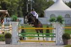 Recreatie paard fokmerrie, Merrie
