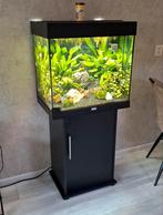 Juwel Lido 120, Dieren en Toebehoren, Vissen | Aquaria en Toebehoren, Ophalen, Gebruikt, Leeg aquarium
