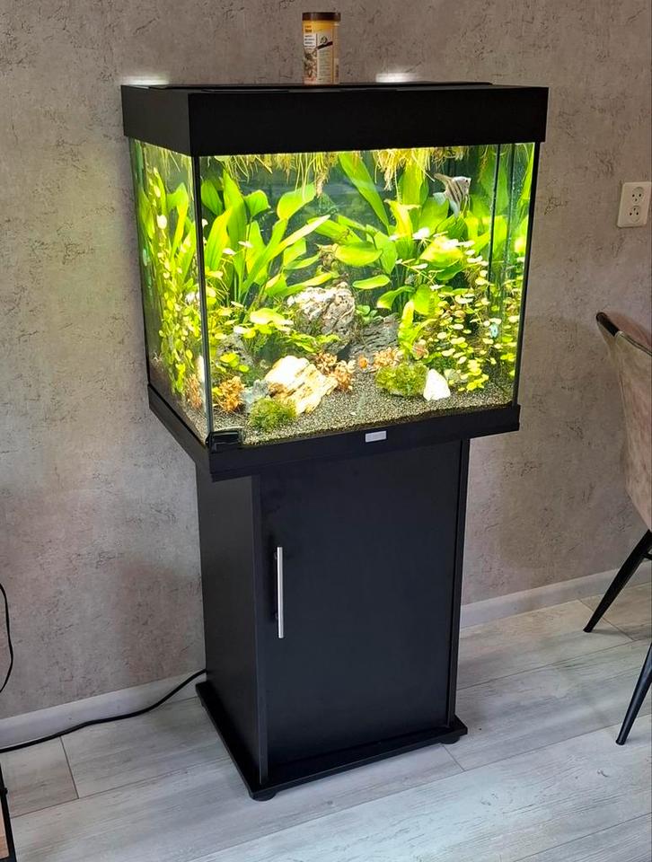 Juwel Lido 120, Dieren en Toebehoren, Vissen | Aquaria en Toebehoren, Gebruikt, Leeg aquarium, Ophalen