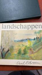 Landschappen van paul citroen, Ophalen of Verzenden, Zo goed als nieuw, Schilder- en Tekenkunst