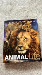 Charlotte Uhlenbroek - Animal Life, Gelezen, Charlotte Uhlenbroek, Ophalen of Verzenden, Overige diersoorten