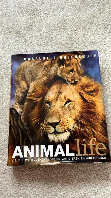 Charlotte Uhlenbroek - Animal Life beschikbaar voor biedingen