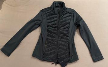 Lemieux Groen Vest - Nieuw beschikbaar voor biedingen