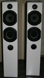 Triangle Color Luidsprekers, Audio, Tv en Foto, Luidsprekers, Zo goed als nieuw, 120 watt of meer, Front, Rear of Stereo speakers