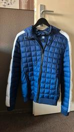 Coolcat jas maat L, Ophalen of Verzenden, Zo goed als nieuw, Blauw