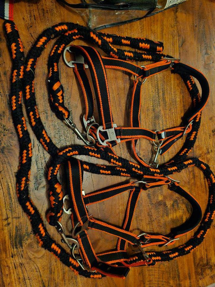 Halsters veulen,shet,pony,full, Dieren en Toebehoren, Paarden en Pony's | Hoofdstellen en Tuigage, Gebruikt, Overige soorten, Ophalen of Verzenden