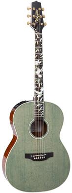 Takamine peace gezocht, Ophalen of Verzenden, Overige typen