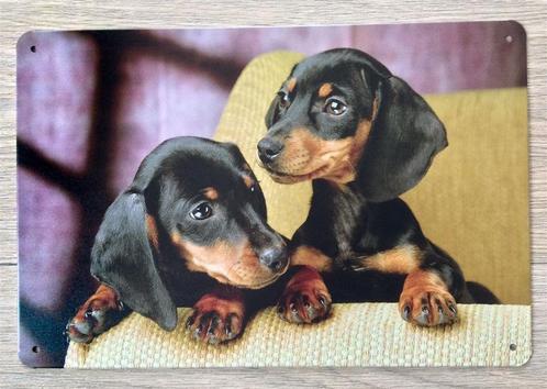 Dachshund Puppy's Teckel Metalen Wandbord Poster, Huis en Inrichting, Woonaccessoires | Wanddecoraties, Nieuw, Verzenden