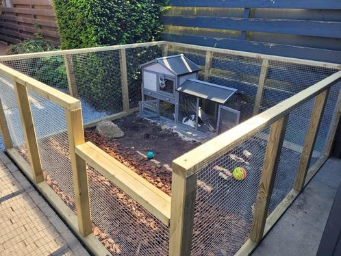 Konijnen Ren + hok 2.6m x 2.4m 1 jaar oud, Dieren en Toebehoren, Knaagdieren en Konijnen | Hokken en Kooien, Zo goed als nieuw