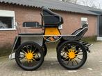 Diverse koetsen te koop, Dieren en Toebehoren, Rijtuigen en Koetsen, Zo goed als nieuw, Overige typen