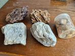 Aquarium stenen, Ophalen, Plant(en), Steen of Hout