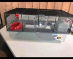 Fabola Ferplast Hamsterkooi Nieuw!!!!, Dieren en Toebehoren, Knaagdieren en Konijnen | Hokken en Kooien, Kooi, Hamster, Ophalen