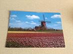 Aalsmeer molen, Verzamelen, Ansichtkaarten | Nederland, Ophalen of Verzenden