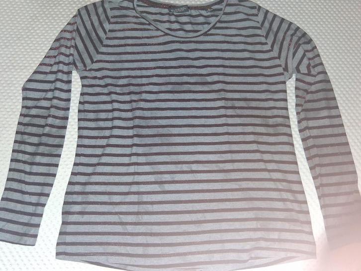 Scotch en Soda gestreepte longsleeve, Kleding | Dames, Truien en Vesten, Gedragen, Maat 42/44 (L), Grijs, Ophalen of Verzenden