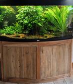 Juwel vision 260, Dieren en Toebehoren, Ophalen, Gebruikt, Leeg aquarium