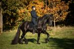 Amazone (Z-dress) zoekt paard om te trainen