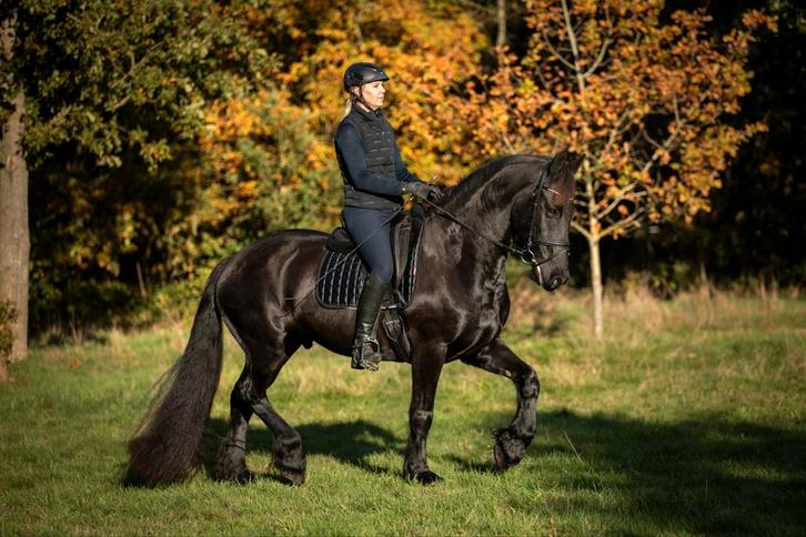 Amazone (Z-dress) zoekt paard om te trainen, Diensten en Vakmensen, Dieren | Paarden | Verzorging, Oppas en Les