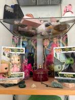 Wicked elphaba en glinda, Ophalen of Verzenden, Nieuw