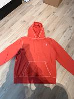 Daily Paper trui maar L, Maat 52/54 (L), Ophalen of Verzenden, Daily Paper, Gedragen