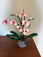 LEGO Orchidee, Kinderen en Baby's, Speelgoed | Duplo en Lego, Ophalen of Verzenden, Zo goed als nieuw