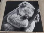 INDUCTIE KOOKPLAAT BESCHERMER, SLAPENDE KOALA, NIEUW!!!, Ophalen, Nieuw