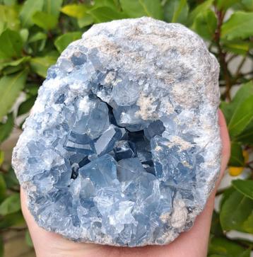 Prachtige Celestien met grote kristallen edelsteen mineralen beschikbaar voor biedingen