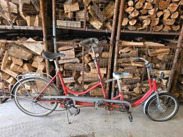 Ouder kinder tandem  beschikbaar voor biedingen