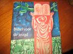 Bijbel voor de Jeugd, Ophalen of Verzenden, Zo goed als nieuw, Christendom | Katholiek