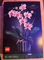 Lego 10311 Orchidee - Nieuw in Doos!, Kinderen en Baby's, Speelgoed | Duplo en Lego, Ophalen of Verzenden, Nieuw, Complete set