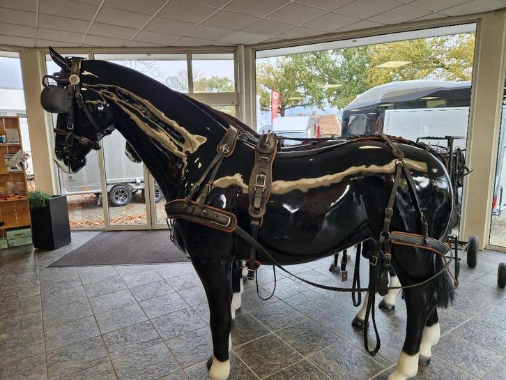 Arden Enkelspan Mentuig Biothane Lux Full, Dieren en Toebehoren, Paarden en Pony's | Hoofdstellen en Tuigage, Gebruikt, Overige soorten