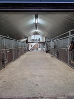Pensionstalling Dronten, Dieren en Toebehoren, Stalling en Weidegang, Stalling