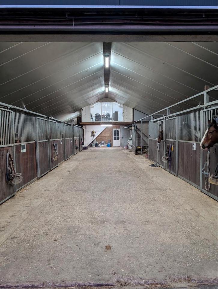 Pensionstalling Dronten, Dieren en Toebehoren, Stalling en Weidegang, Stalling