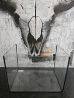 Aquarium, Dieren en Toebehoren, Vissen | Aquaria en Toebehoren, Ophalen, Zo goed als nieuw, Leeg aquarium