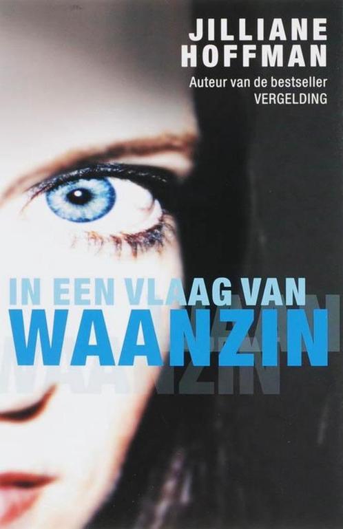 JILLIANE HOFFMAN In een vlaag van waanzin, Boeken, Thrillers, Gelezen, Nederland, Ophalen of Verzenden
