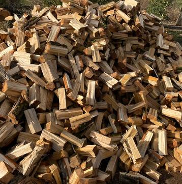 Kachelhout | Haardhout deze winter te stoken beschikbaar voor biedingen