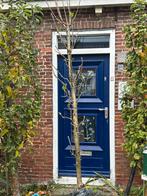 2x Zuilappel Red River MM111, Ophalen of Verzenden, Lente