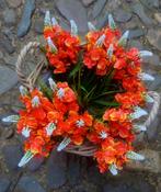 FLEURIGE KUNST BOSJES - ORANJE, Ophalen of Verzenden, Nieuw