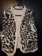 Maicazz splinternieuw gilet, Ophalen of Verzenden, Nieuw, Maat 36 (S)