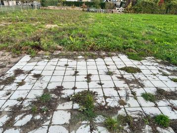 Gratis stoeptegels 30x30 beschikbaar voor biedingen