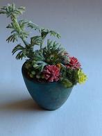 groen/blauwe keramische pot met div. planten, Ophalen, Nieuw, Decoratie