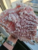 Haliet, Ophalen of Verzenden