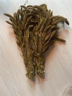 Goudkleurige Droogboeket - Decoratief, Ophalen of Verzenden, Nieuw