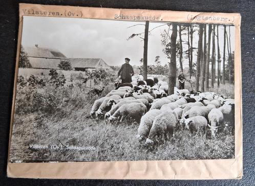Vilsteren, glasplaat JosPe, schaapherder, Verzamelen, Ansichtkaarten | Nederland, Ongelopen, Overijssel, 1960 tot 1980, Ophalen of Verzenden