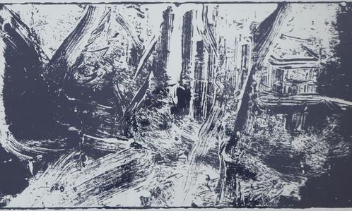 Robert Zandvliet lithoprint, Antiek en Kunst, Kunst | Litho's en Zeefdrukken, Ophalen