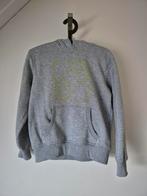 Freegun hoodie maat 164 (14), Ophalen, Zo goed als nieuw, Jongen, Trui of Vest