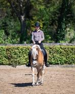 Instructeur aangeboden, Dieren en Toebehoren, Ophalen of Verzenden, Nieuw, Dressuur
