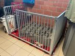 Hondenren / Puppyren, Dieren en Toebehoren, Hondenhokken, Ophalen, 110 cm of meer, 65 tot 100 cm, Hondenhok