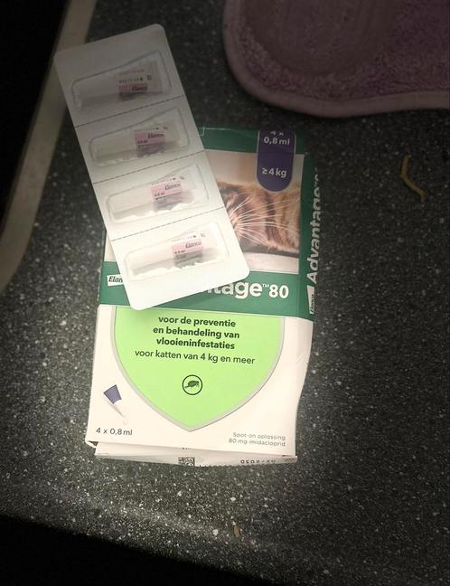 Advantage Anti Vlooiendruppels Kat vanaf 4 kg 4x 0,8 ml, Dieren en Toebehoren, Overige Dieren-accessoires, Nieuw, Ophalen