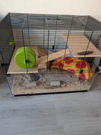 Hamsterkooi zo goed als nieuw!, Dieren en Toebehoren, Kooi, Minder dan 75 cm, Zo goed als nieuw, Ophalen