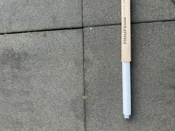 Philips TL-D / T8 Buizen wit (per stuk) beschikbaar voor biedingen